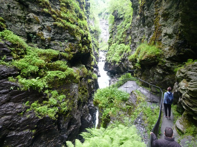 P1150654 - עותק (2)