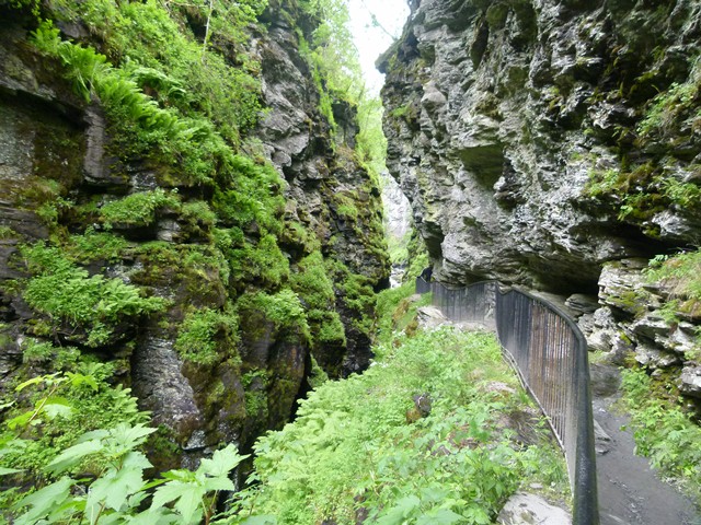 P1150665 - עותק (2)