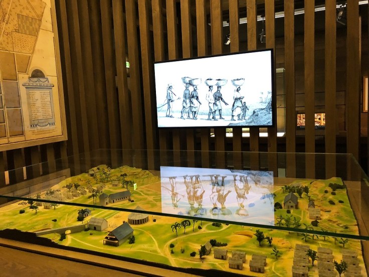 ‏‏IMG_9764 - עותק