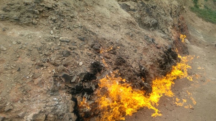 128160512_713713329264648_8648396773913983142_n