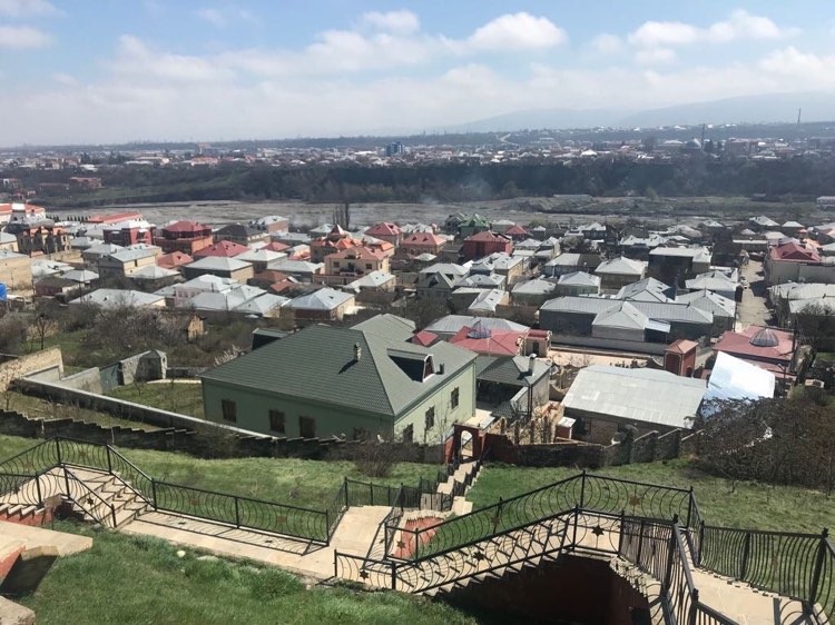 129033493_201355178303857_3909751064896652123_n