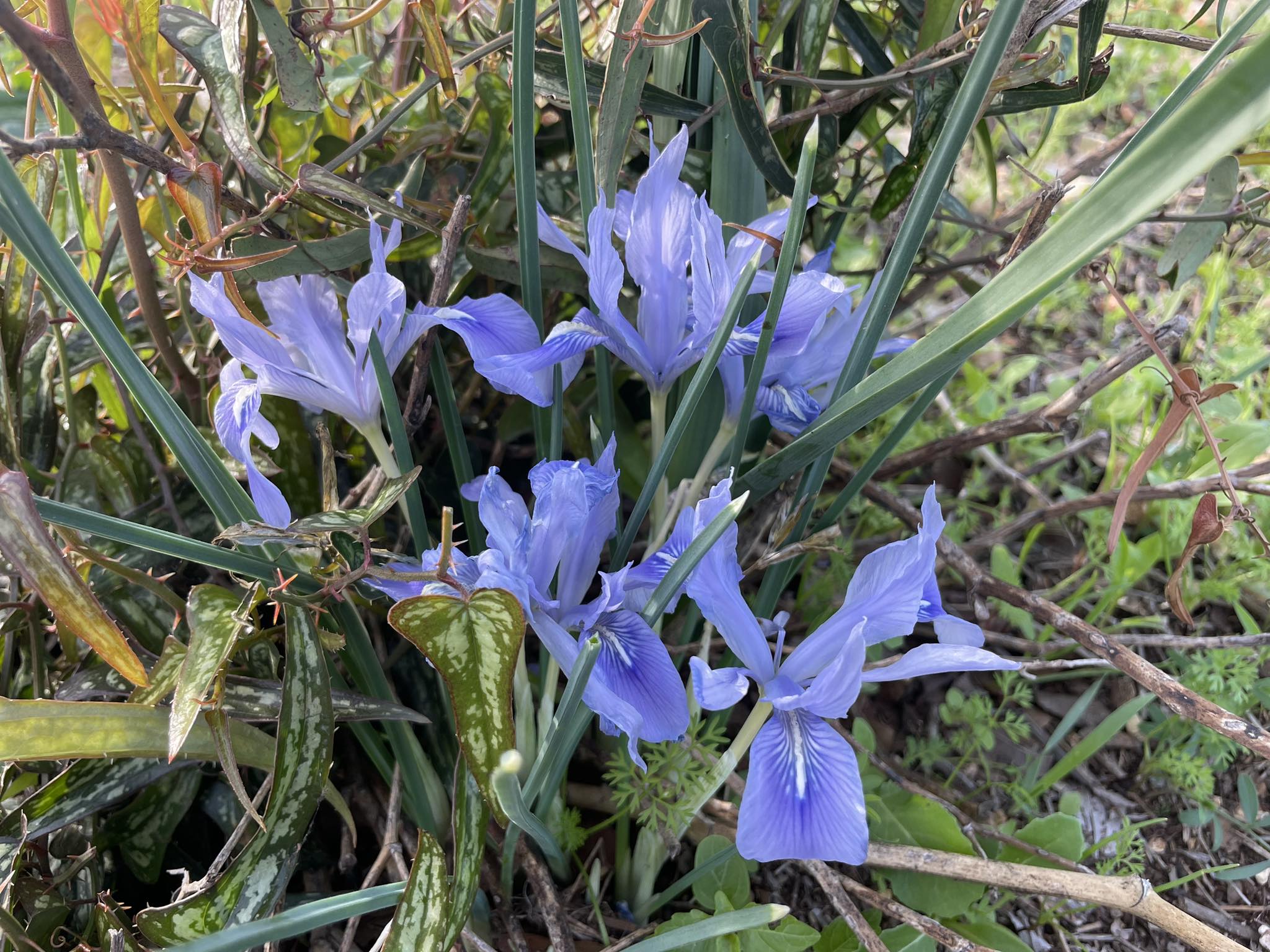 403402569_746162010214498_6671141310284046758_n